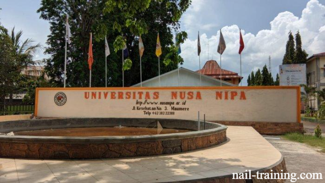 Fakultas di Universitas Nusa Nipa