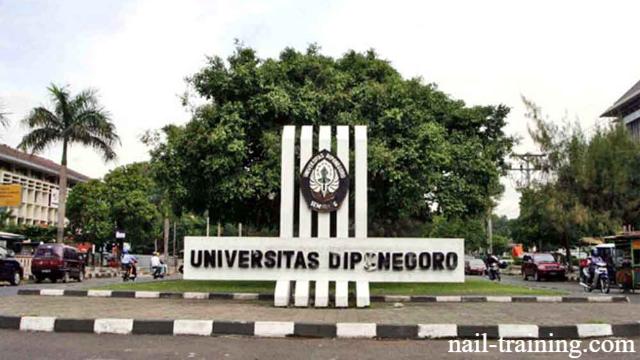 Perguruan Tinggi Negeri di Semarang dan Jurusannya